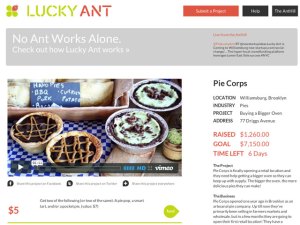 Lucky Ant, Crowdfunding for Local Small Business