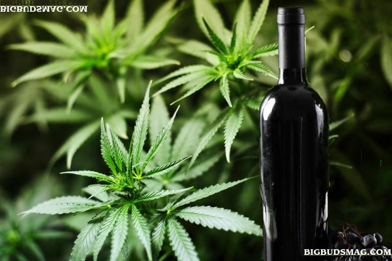 Marijuana Wine