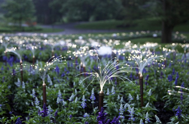 Light, Installations by Bruce Munro at Longwood Gardens
