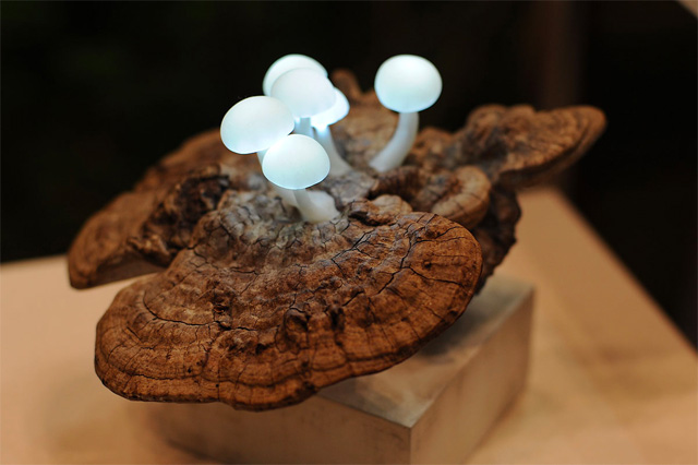 LED Mushroom Lamps by Yukio Takano