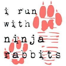 Ninja Rabbits