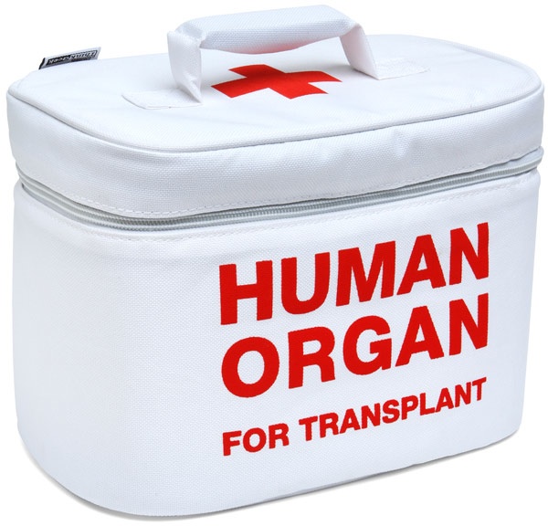 organ-transplant