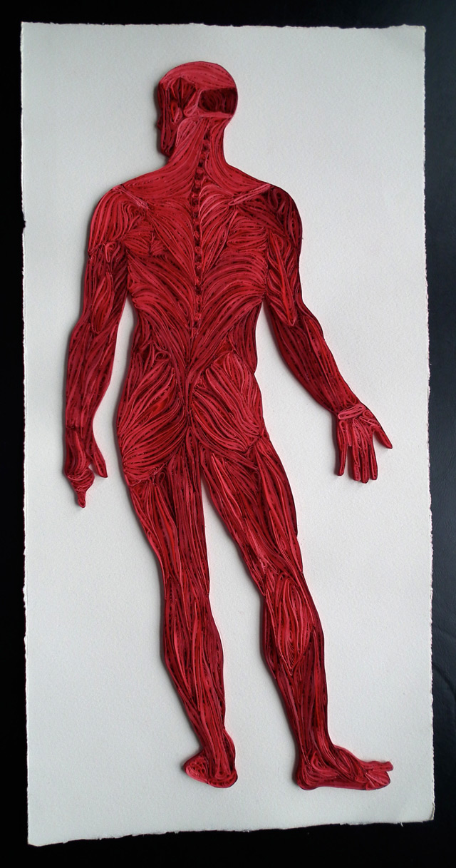 Quilled Anatomy Art by Sarah Yakawonis