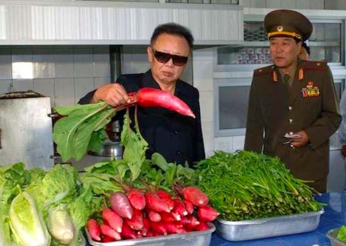 Kim Jong-il Looking At Things