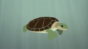 The Survival of the Sea Turtle by TED-Ed