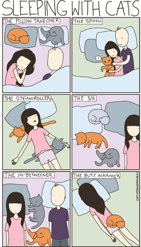 sleeping-with-cats