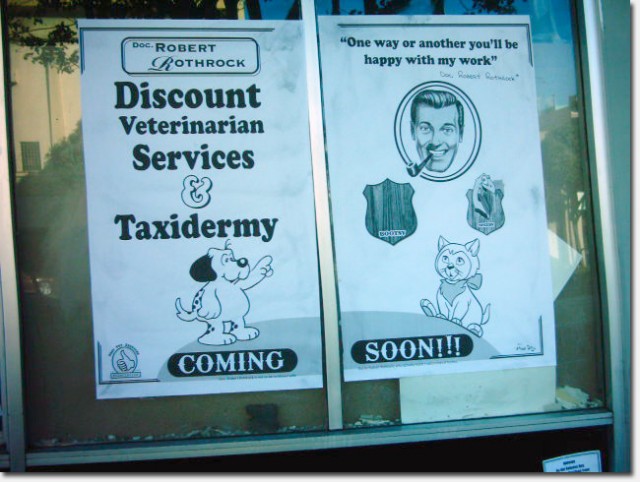 Discount Veterinarian and Taxidermy