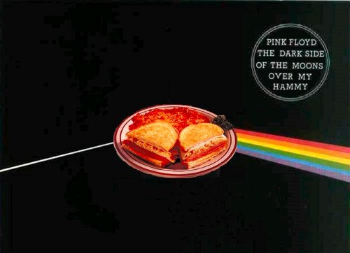 Pink Floyd The Dark Side of The Moons Over My Hammy
