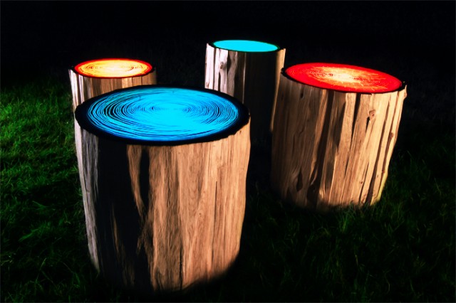 Tree Rings by Judson Beaumont