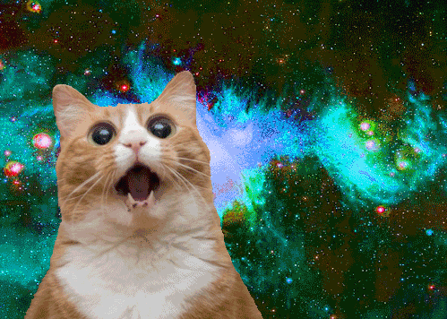 Omg Cats in Space!!! Sends Cats to Outer Space with Animated GIFs