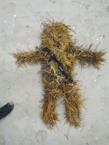 Seaweed Wookiee